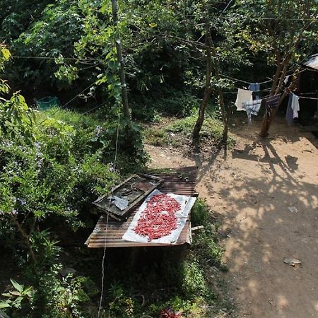 Munnar Kaippalli Budget Homestay Eksteriør bilde